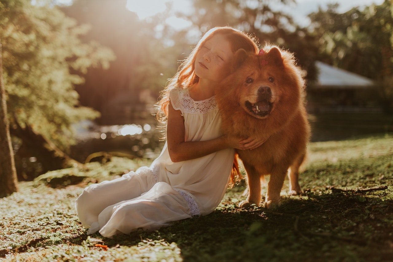 how-to-get-your-dog-registered-as-a-therapy-dog